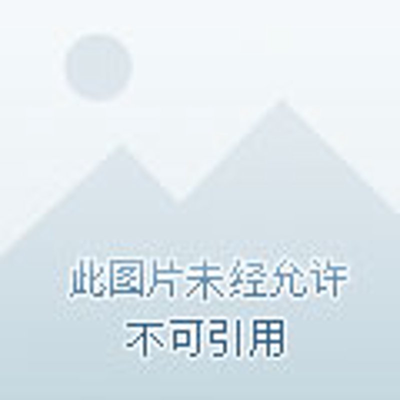 瑞士手表